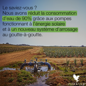 Explication de comment Forever économise l'eau, grâce en partie à l'installation de panneaux solaires