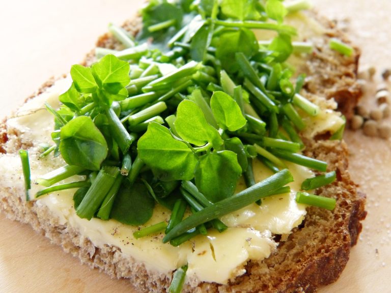 Aliments riches en fibres pour une alimentation équilibrée